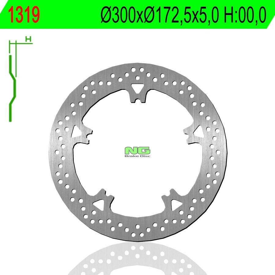 DISCO FRENO NG 1319  300 X  172.5 X 5