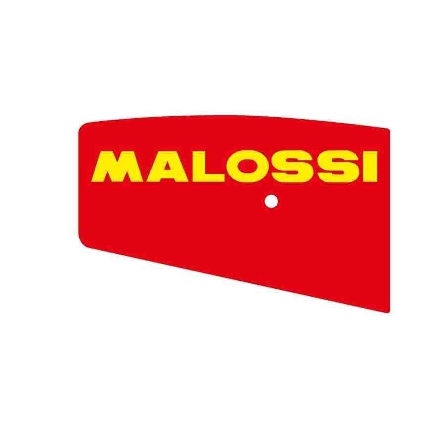 FILTRO AIRE MALOSSI X8R 50    1411411