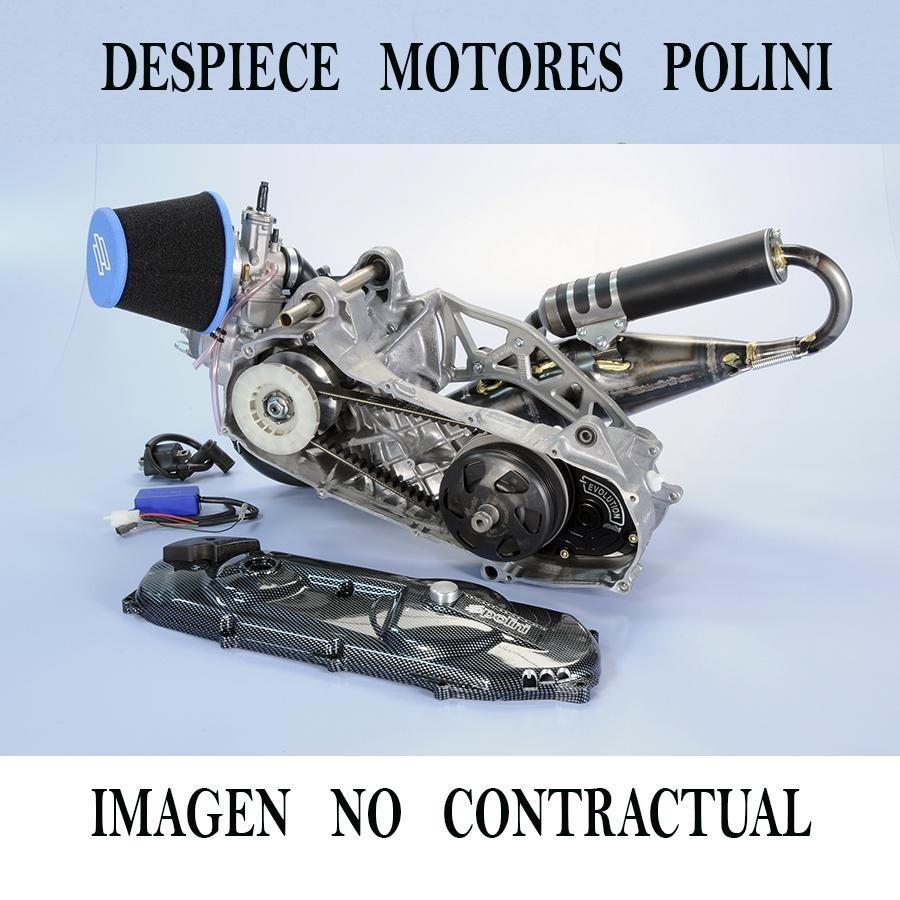 MOTOR POLINI EVOLUTION PRE 100 cc. DISCO DE FRENO POLINI 050.0949