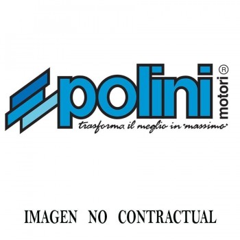 MACARRON GASOLINA POLINI PETROL FILTER D. 6 mm 245.909