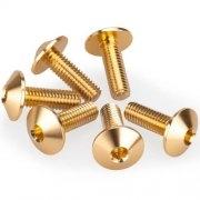 KIT 6 TORNILLOS M6X20 DIAM. CABEZA 16,8MM C/ORO PUIG 21765O